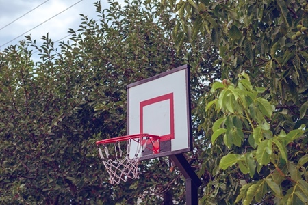 5 Accessories Every Backyard Sport Court Needs