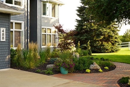 Enhance Your Landscape with Native Plants